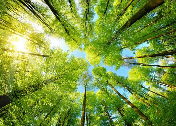 Protecting the environment